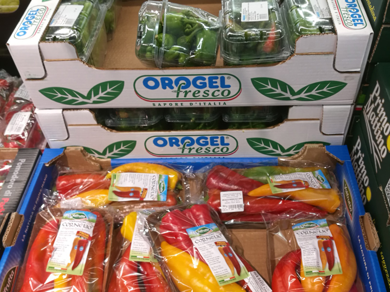 全自动纸箱成型机型号E3