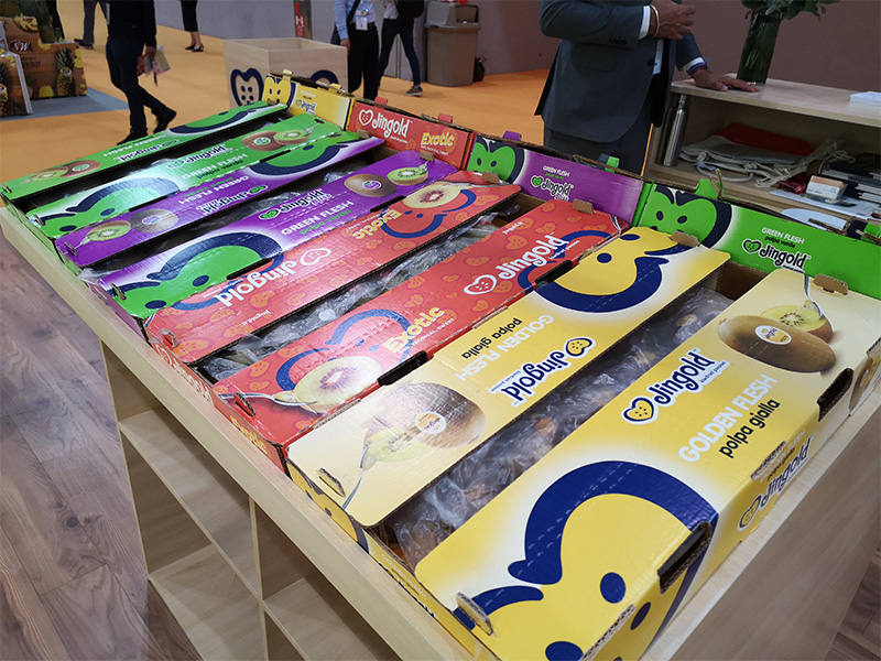 全自动纸箱成型机型号E3